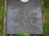image of grave number 828382